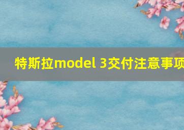 特斯拉model 3交付注意事项